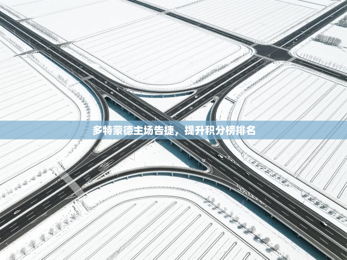 多特蒙德主场告捷，提升积分榜排名