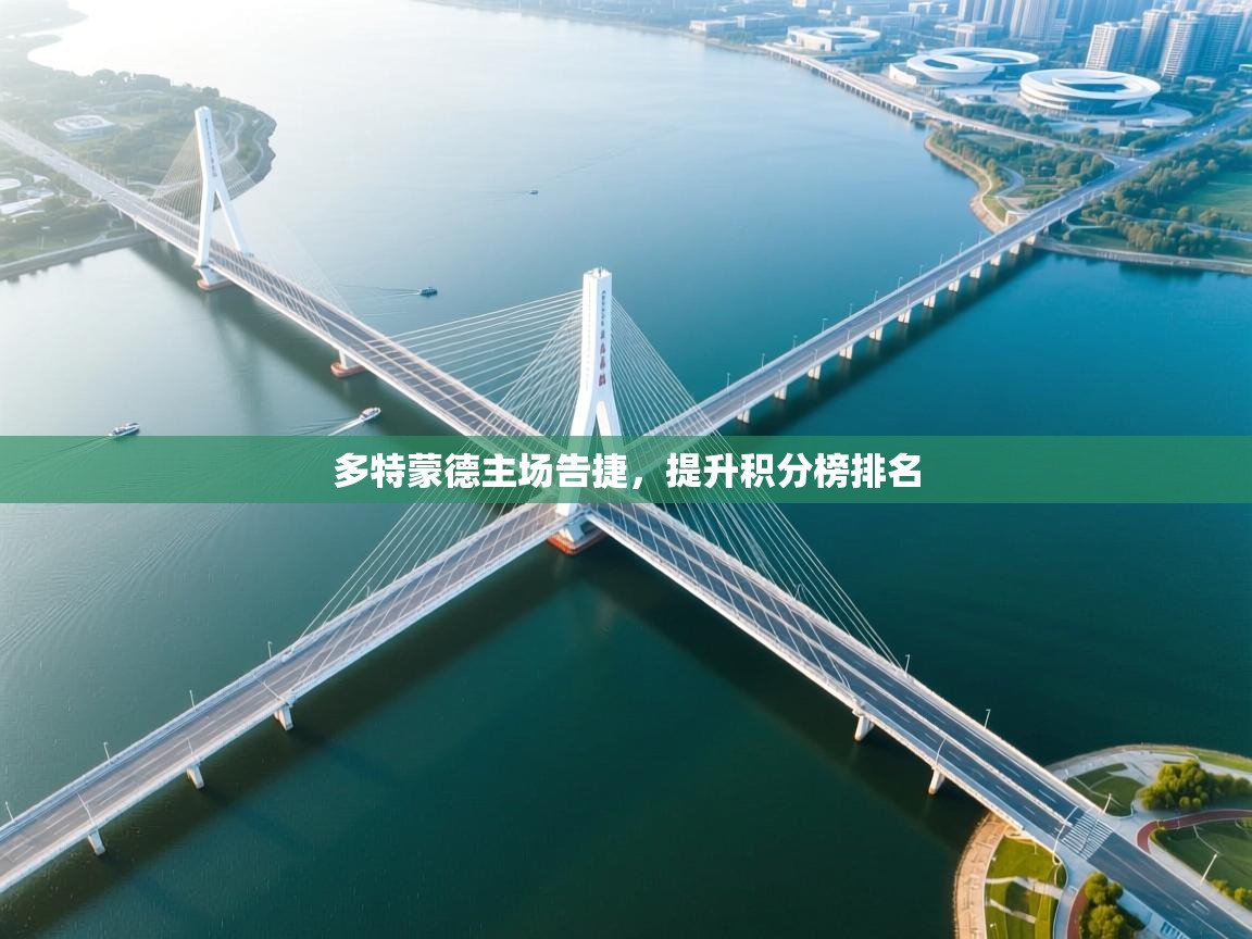 多特蒙德主场告捷，提升积分榜排名